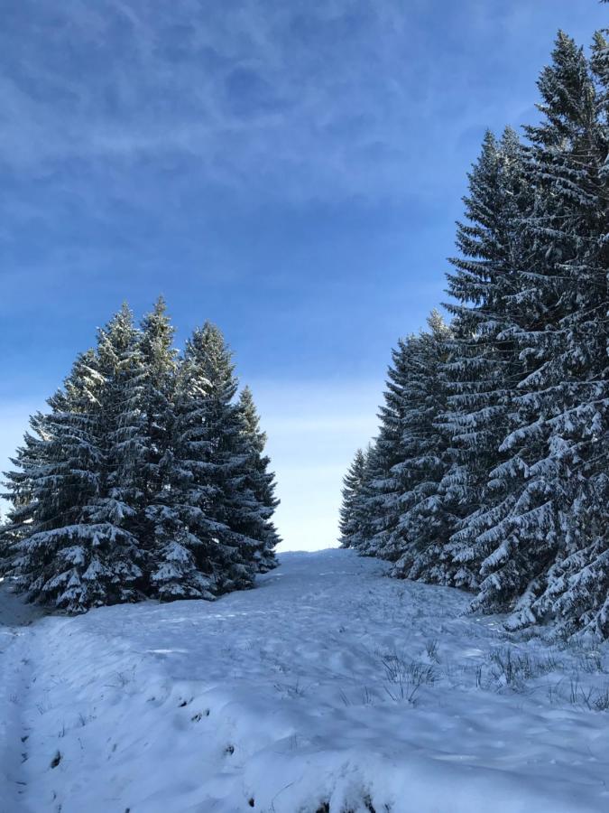 Ferienwohnung Morgentau Am Rande Der Wildnis Sibratsgfall ภายนอก รูปภาพ