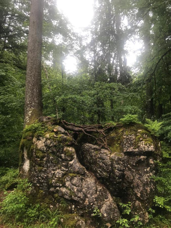 Ferienwohnung Morgentau Am Rande Der Wildnis Sibratsgfall ภายนอก รูปภาพ